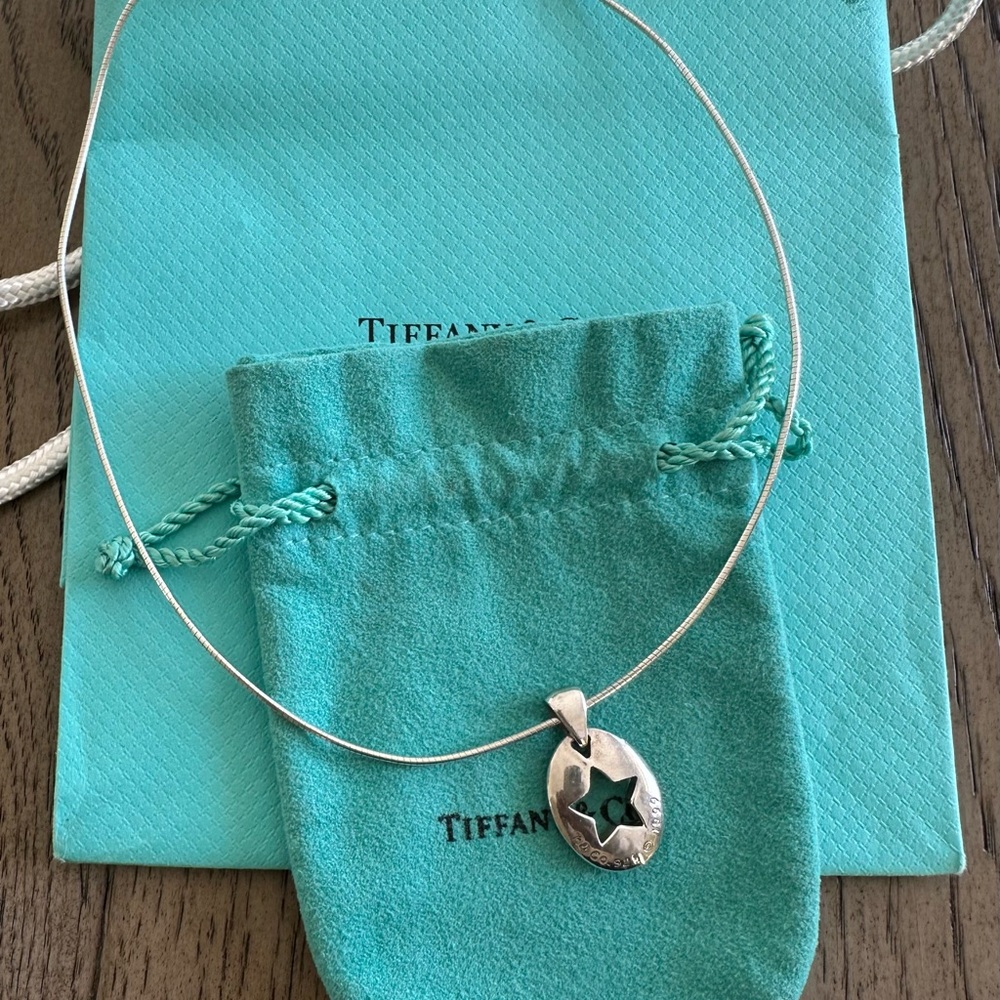 Tiffany & Co. Silver Oval Star Necklace - Picture 3 of 3